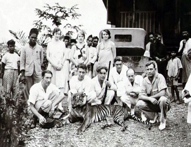 Personeel van de B.P.M. en een geschoten tijger op het B.P.M.-emplacement Djoeloe Rajeu te Djoelo-rajeu bij Idi, 1927-1932